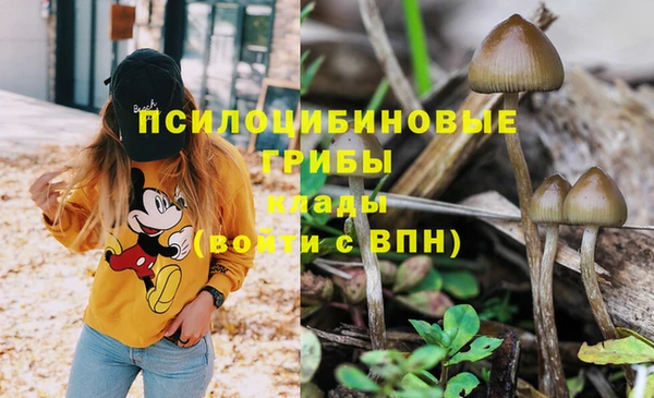 кокаин перу Аркадак